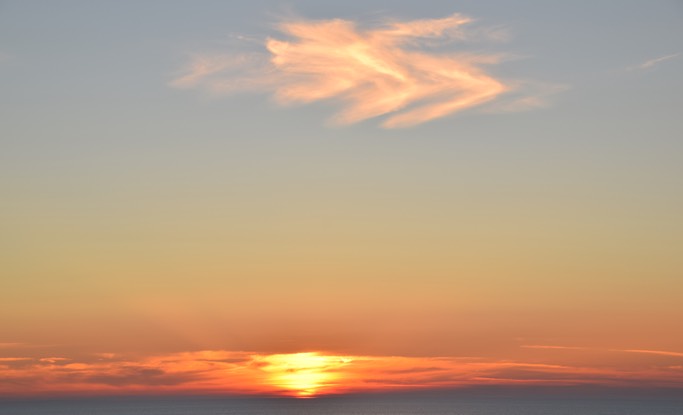 DSC_7698